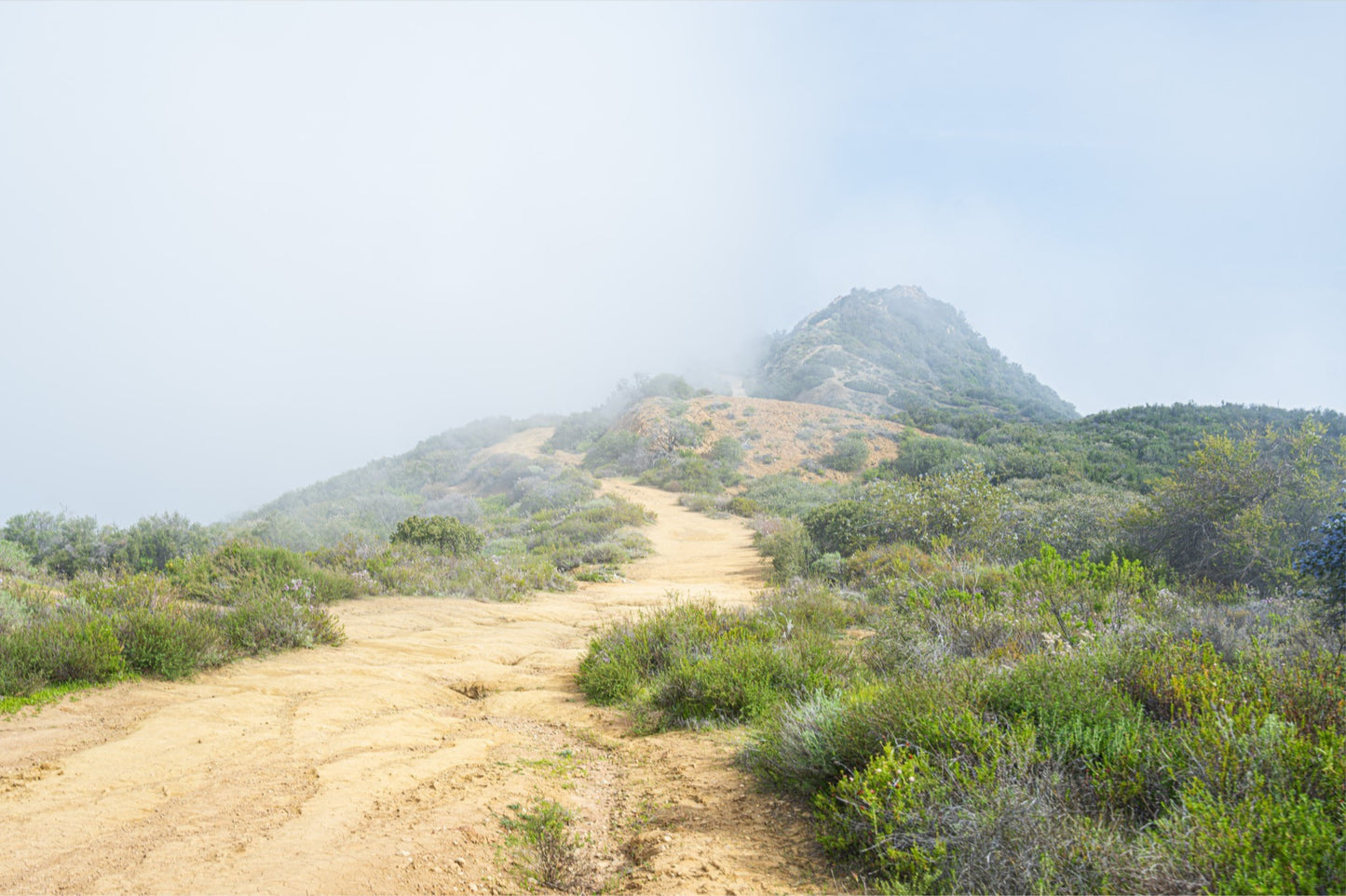 Topanga Trail (Print)