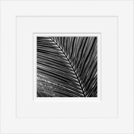 Paradise Palm 4 (Framed Mini)