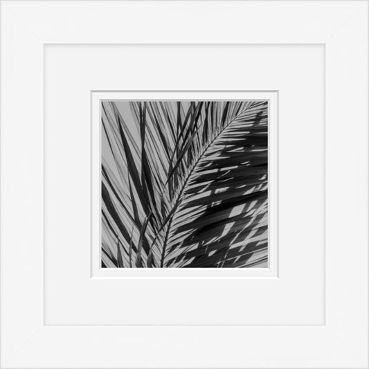 Paradise Palm 5 (Framed Mini)