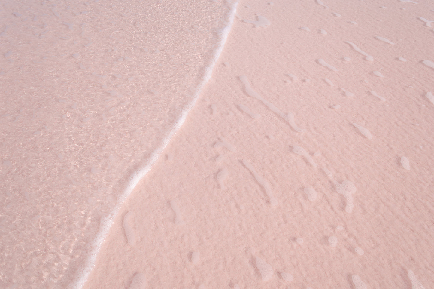 Fine art photography featuring a gentle wave lapping across a pink sand beach. The water is clear and small salty bubbles are visible across the sand, creating an organic design.