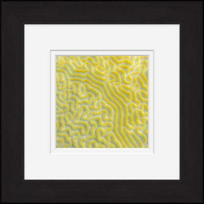 Brain Waves (Framed Mini)