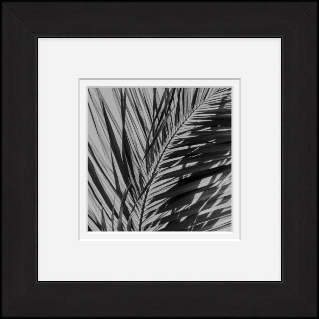 Paradise Palm 5 (Framed Mini)