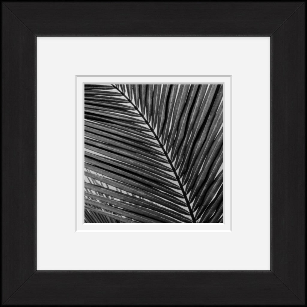 Paradise Palm 4 (Framed Mini)